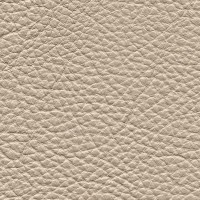 /album/fotogalerie-florida/florida-533-1-jpg/